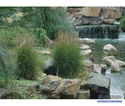 百草園供應可靠的園林景觀工程，寧波與博羅縣專業(yè)服務