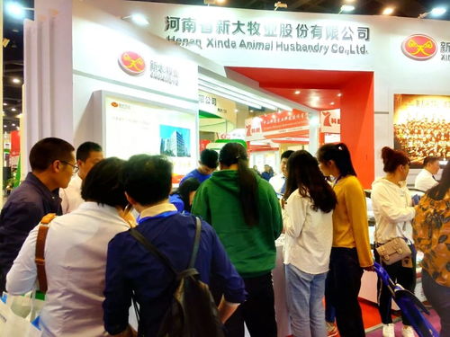 新大智道亮相中原畜牧業(yè)交易博覽會(huì)，信息咨詢服務(wù)引領(lǐng)養(yǎng)豬行業(yè)新變革